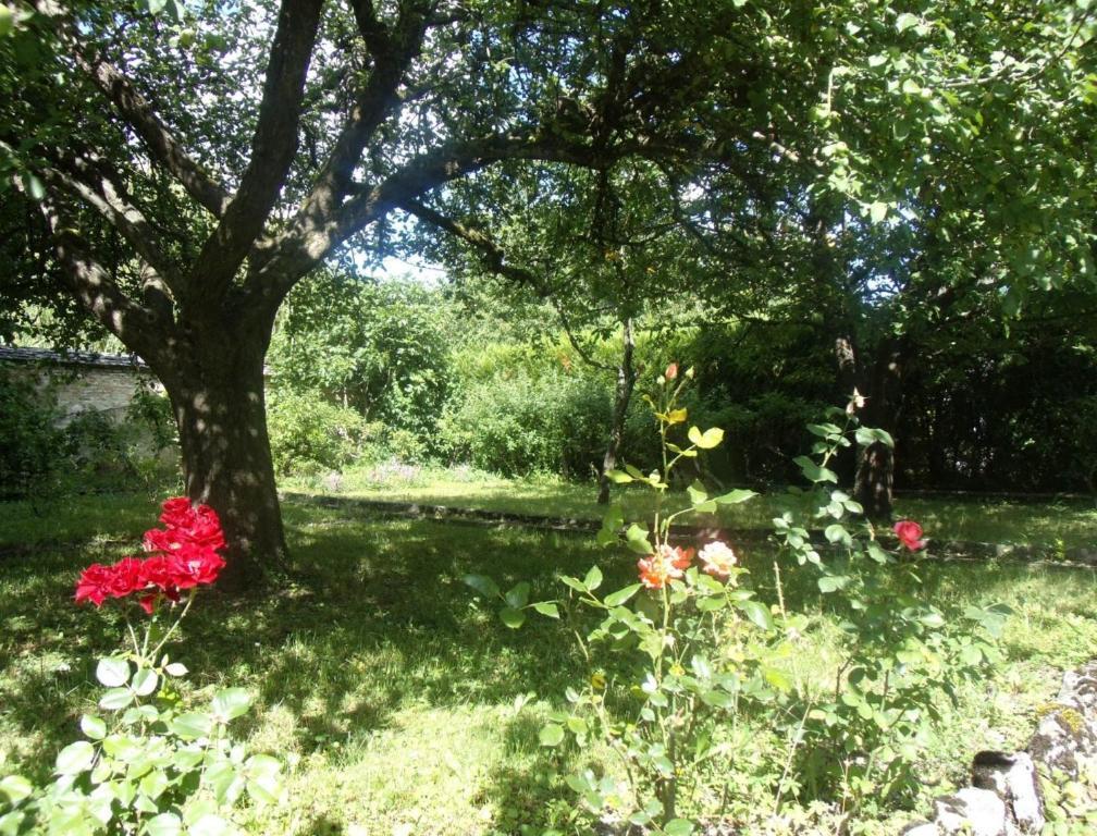 Le Grand Jardin Panzió Beaune  Kültér fotó
